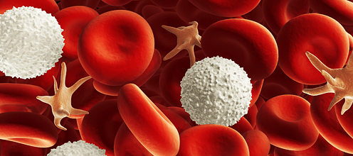 conoscere-sangue
